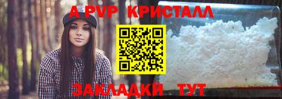 спиды Долгопрудный