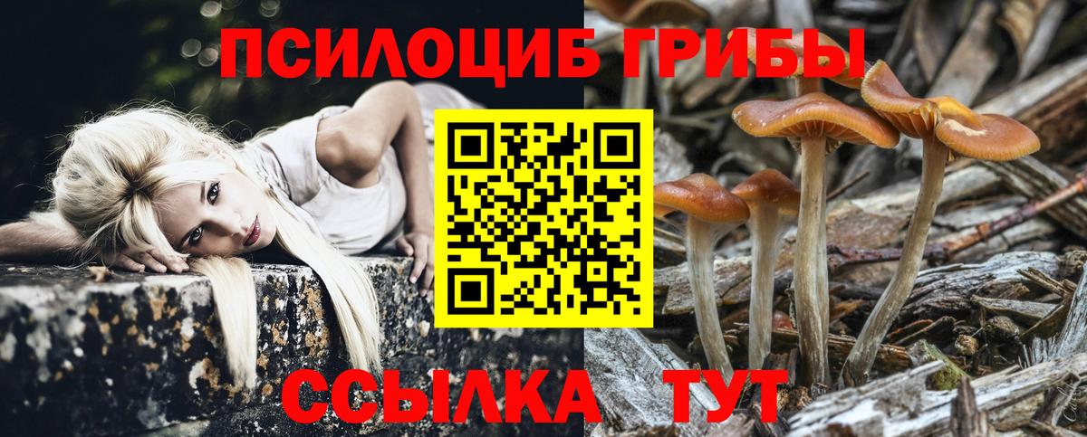 Псилоцибиновые грибы MAGIC MUSHROOMS Гурьевск