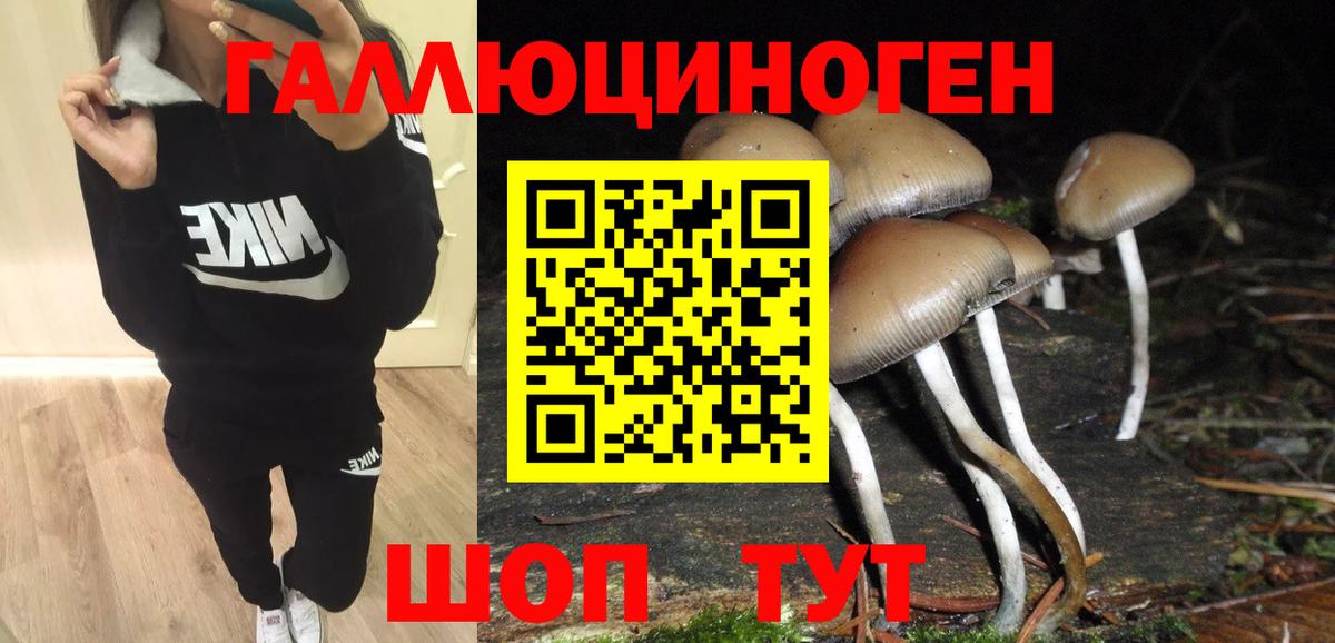 Псилоцибиновые грибы Psilocybine cubensis  Вход с VPN  Гурьевск 